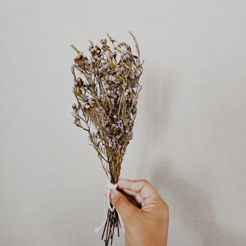 Bundle of Small NaturalDried Purple Flowers - Picture 3 of 5